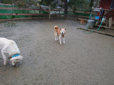 f:id:roukenhome-ann:20190121073208j:plain