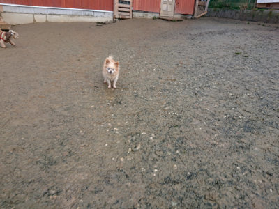 f:id:roukenhome-ann:20190121073213j:plain