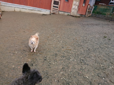 f:id:roukenhome-ann:20190121073219j:plain