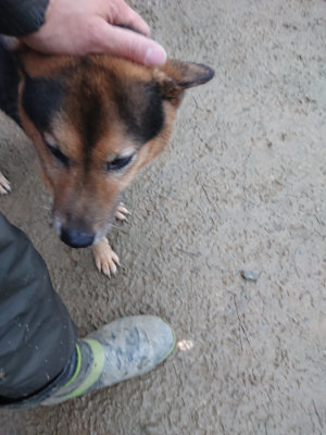 f:id:roukenhome-ann:20190121073229j:plain