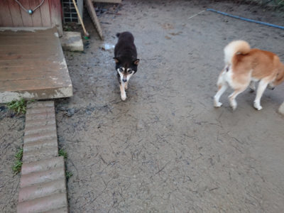 f:id:roukenhome-ann:20190121073257j:plain