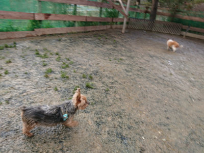 f:id:roukenhome-ann:20190121074934j:plain