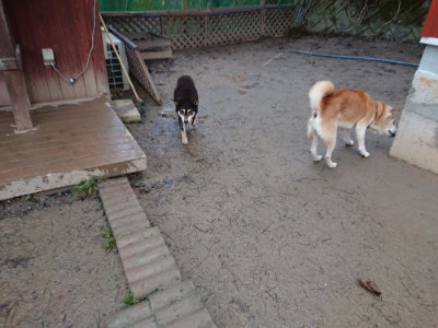 f:id:roukenhome-ann:20190121074950j:plain