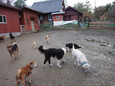 f:id:roukenhome-ann:20190121075047j:plain