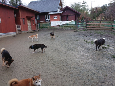 f:id:roukenhome-ann:20190121075053j:plain