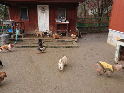 f:id:roukenhome-ann:20190121075108j:plain