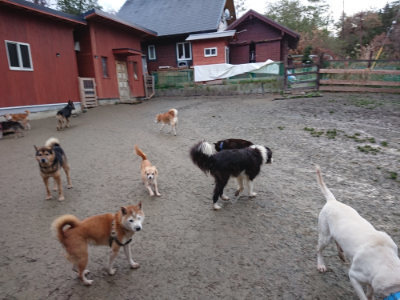 f:id:roukenhome-ann:20190121075118j:plain