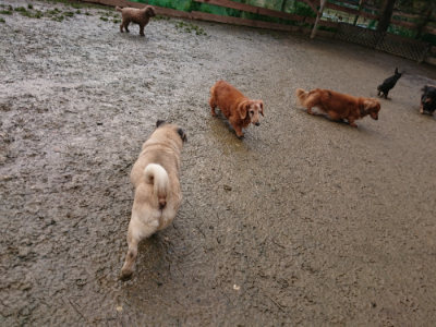 f:id:roukenhome-ann:20190121075127j:plain