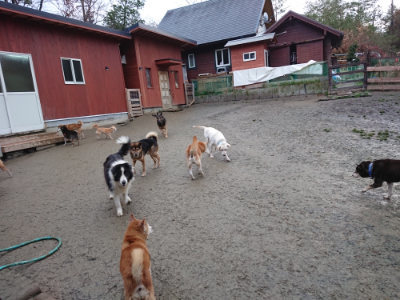 f:id:roukenhome-ann:20190121075145j:plain