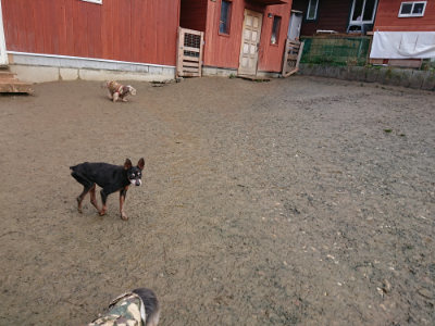 f:id:roukenhome-ann:20190121075159j:plain