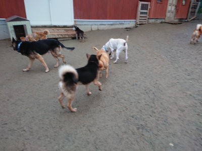 f:id:roukenhome-ann:20190121075204j:plain