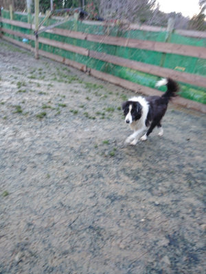 f:id:roukenhome-ann:20190121075238j:plain