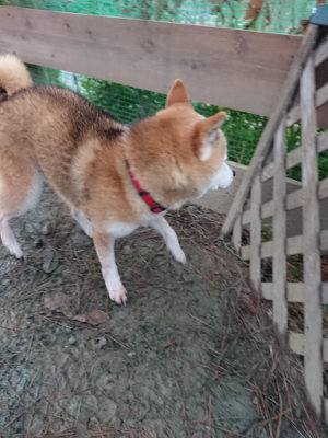 f:id:roukenhome-ann:20190121075245j:plain