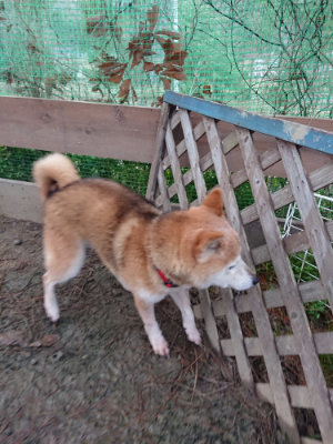 f:id:roukenhome-ann:20190121075306j:plain