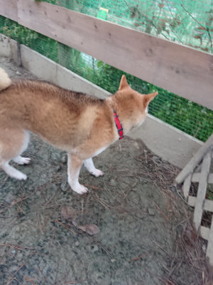 f:id:roukenhome-ann:20190121075311j:plain