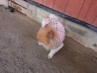 f:id:roukenhome-ann:20190121075348j:plain