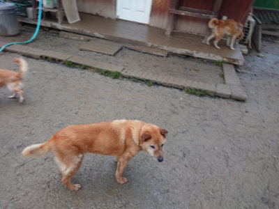 f:id:roukenhome-ann:20190121075414j:plain