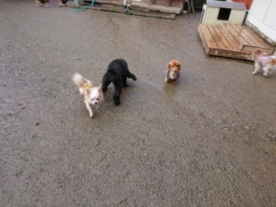 f:id:roukenhome-ann:20190121075425j:plain