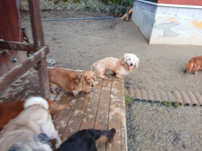 f:id:roukenhome-ann:20190121075435j:plain