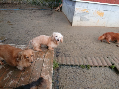 f:id:roukenhome-ann:20190121075512j:plain