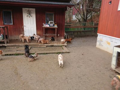 f:id:roukenhome-ann:20190121075547j:plain