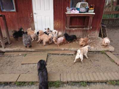 f:id:roukenhome-ann:20190121075552j:plain