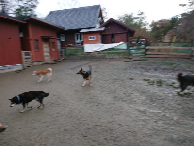 f:id:roukenhome-ann:20190121075603j:plain