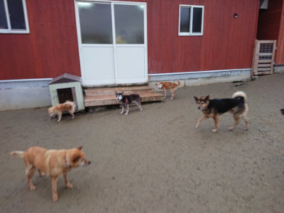 f:id:roukenhome-ann:20190121080231j:plain