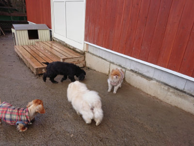 f:id:roukenhome-ann:20190121080418j:plain