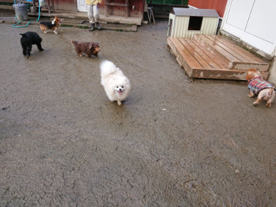 f:id:roukenhome-ann:20190121080504j:plain