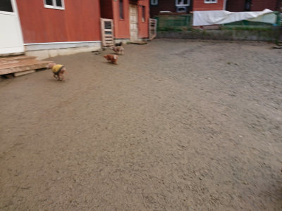 f:id:roukenhome-ann:20190121080532j:plain