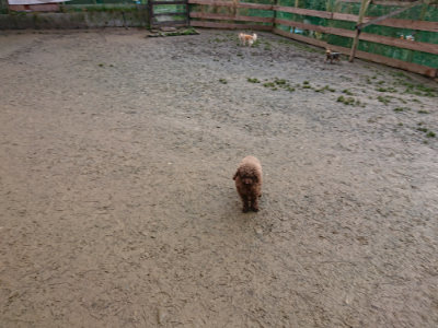 f:id:roukenhome-ann:20190121080613j:plain