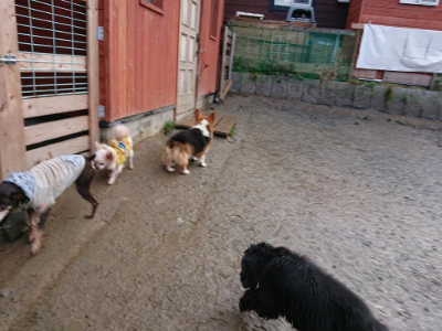 f:id:roukenhome-ann:20190121080915j:plain