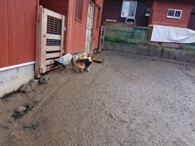 f:id:roukenhome-ann:20190121080944j:plain
