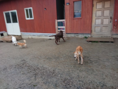 f:id:roukenhome-ann:20190121081014j:plain