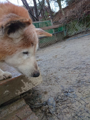 f:id:roukenhome-ann:20190121081105j:plain