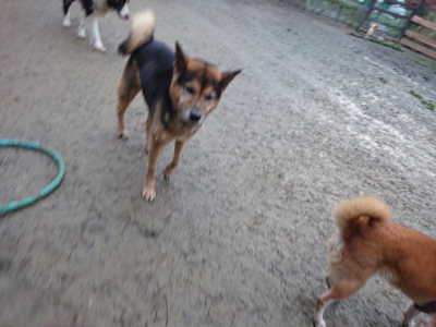 f:id:roukenhome-ann:20190121081115j:plain