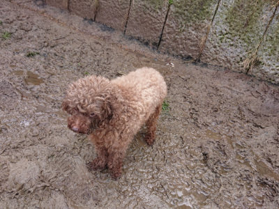 f:id:roukenhome-ann:20190121144644j:plain