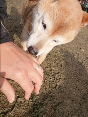 f:id:roukenhome-ann:20190121144733j:plain