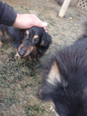 f:id:roukenhome-ann:20190121144738j:plain