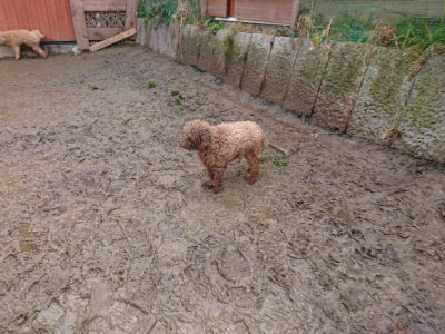 f:id:roukenhome-ann:20190121144824j:plain