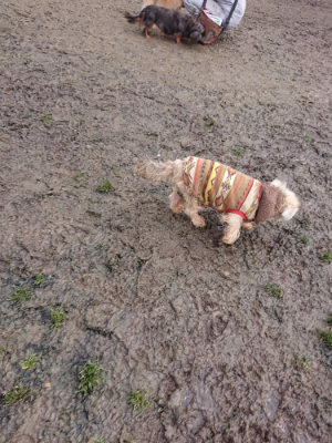 f:id:roukenhome-ann:20190121144845j:plain