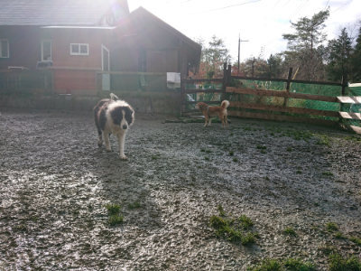 f:id:roukenhome-ann:20190121144903j:plain
