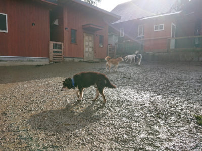 f:id:roukenhome-ann:20190121144922j:plain