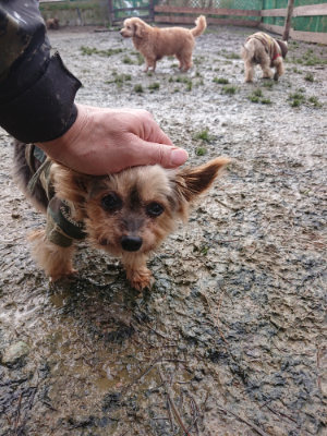 f:id:roukenhome-ann:20190121144927j:plain