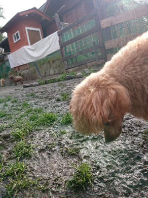 f:id:roukenhome-ann:20190121144942j:plain