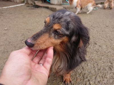 f:id:roukenhome-ann:20190121145423j:plain