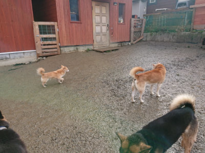 f:id:roukenhome-ann:20190121145505j:plain