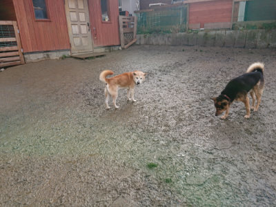 f:id:roukenhome-ann:20190121145619j:plain
