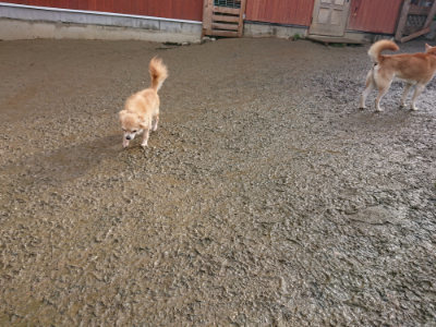 f:id:roukenhome-ann:20190121145715j:plain